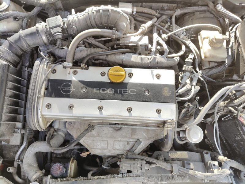 1996 - 1998 Opel Vectra B 2.0 16 V Çıkma Motor - GM