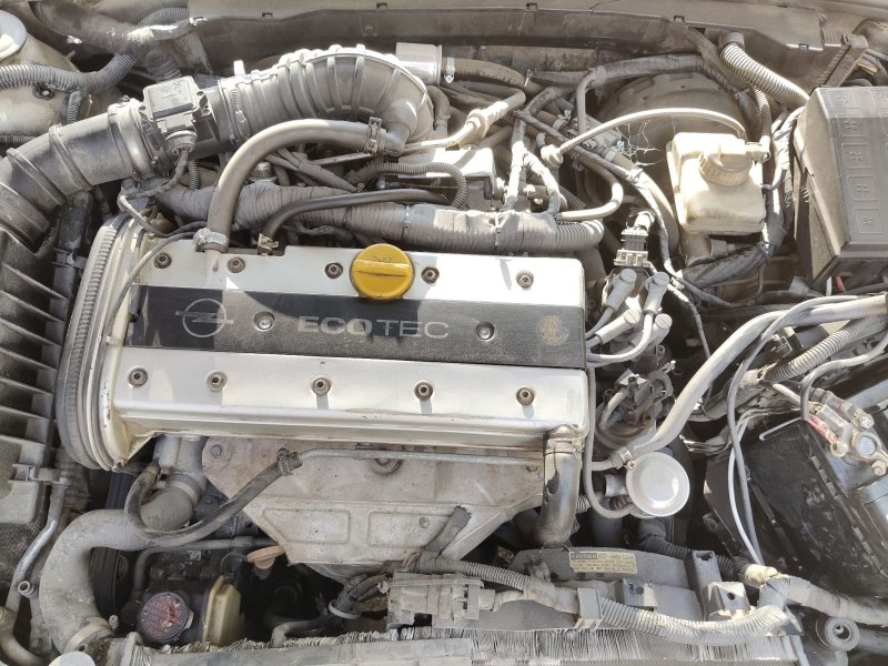 1996 - 1998 Opel Vectra B 2.0 16 V Çıkma Motor