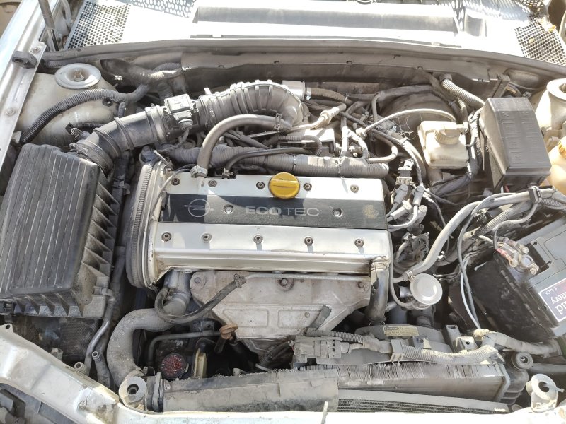 1996 - 1998 Opel Vectra B 2.0 16 V Çıkma Motor